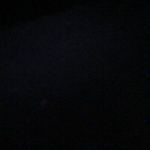 Meet your Posher, Gavin